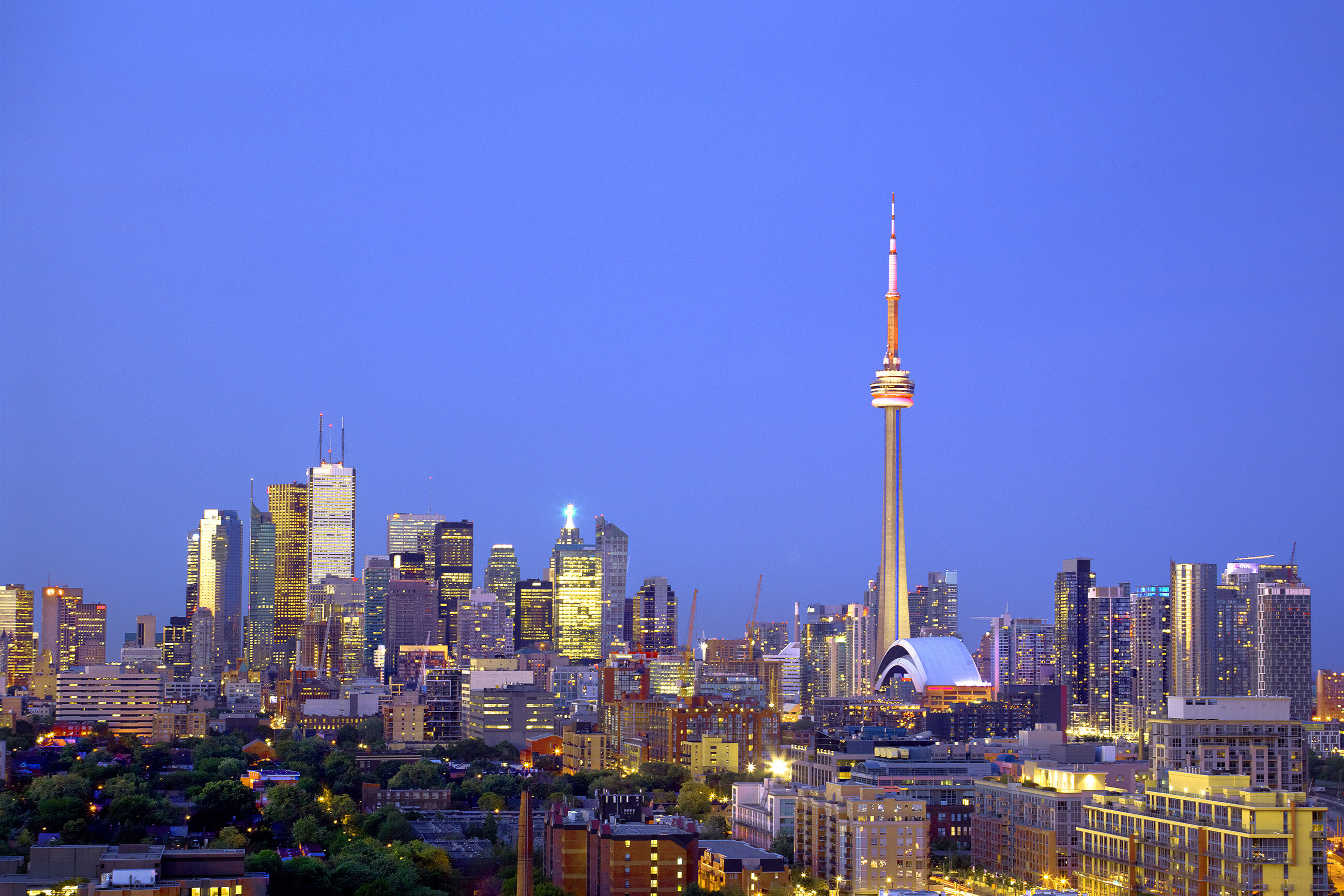 Toronto Nights